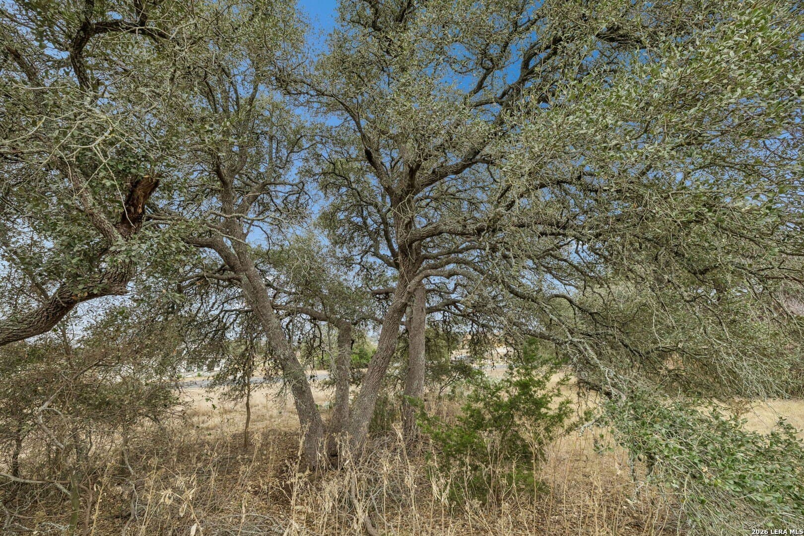 0.3 acres in Blanco County - photo 28
