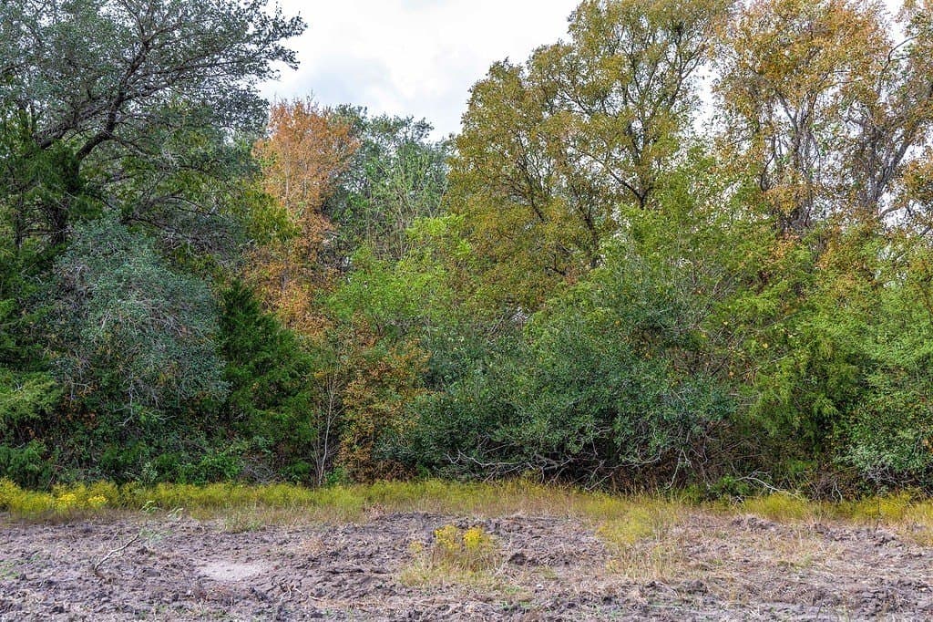 19.35 acres in Fayette County - photo 10