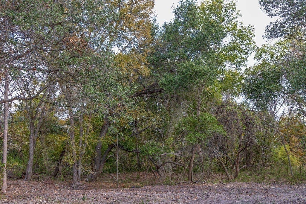 19.35 acres in Fayette County - photo 11