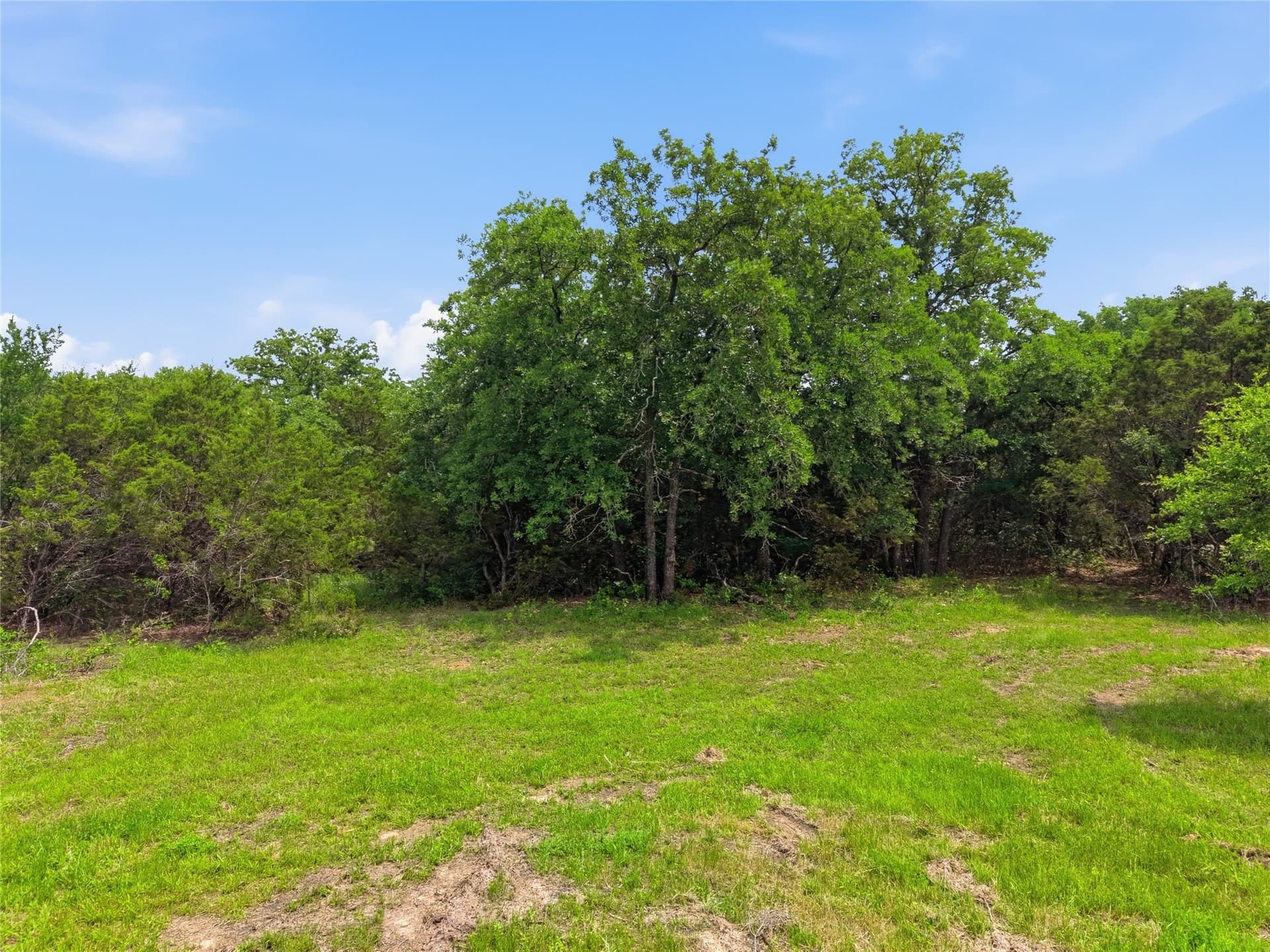 11.17 acres in Parker County - photo 11