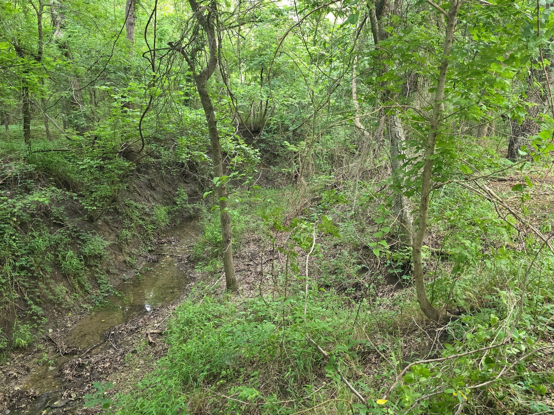 2.58 acres in Ellis County - photo 6