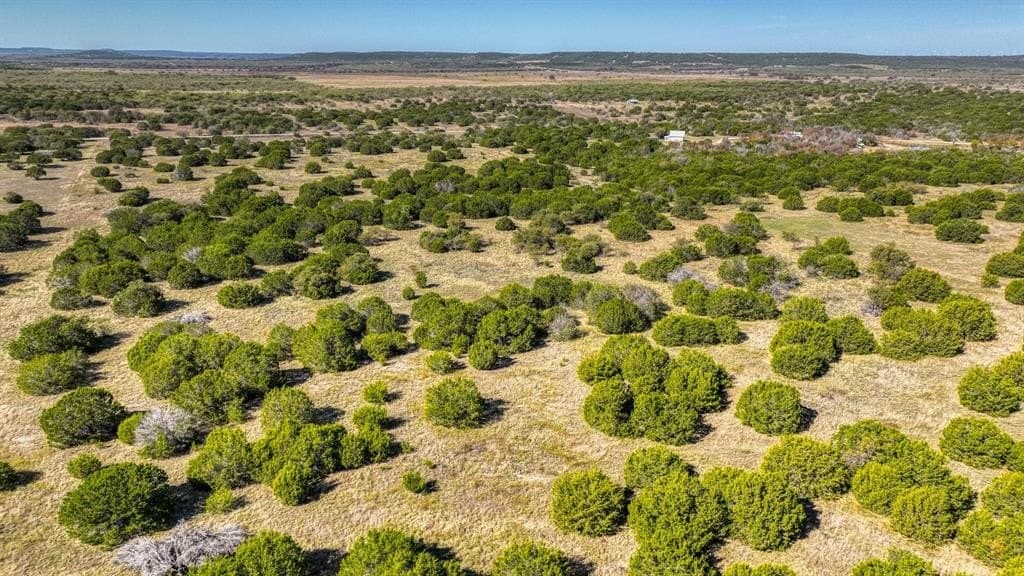 30.15 acres in Palo Pinto County gallery image 4