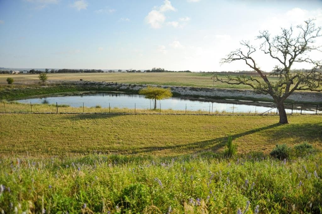 59.54 acres in Gillespie County - photo 16