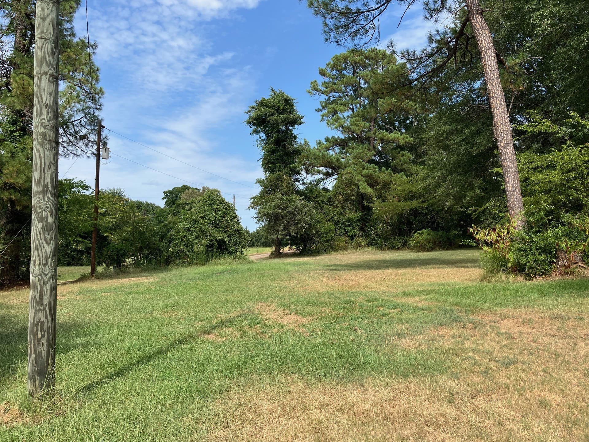 15.69 acres in Titus County gallery image 3