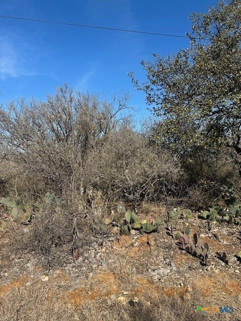 0.11 acres in Burnet County - photo 6