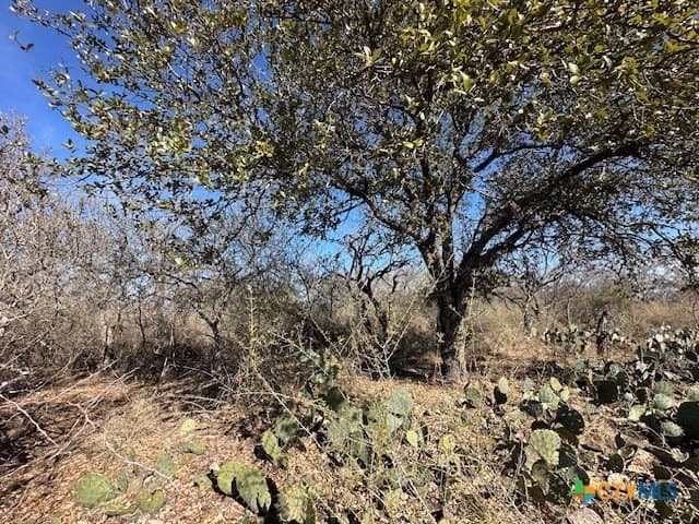 0.11 acres in Burnet County gallery image 3