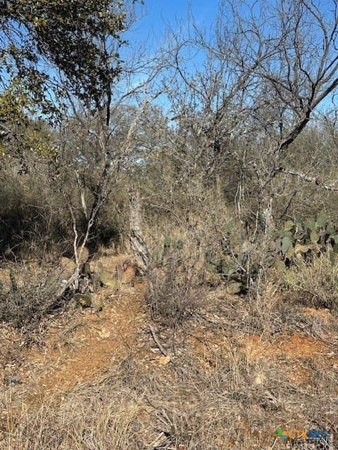 0.11 acres in Burnet County - photo 7
