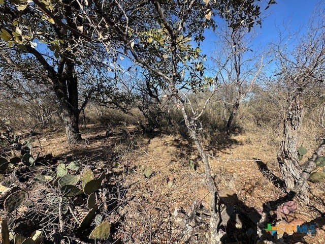 0.11 acres in Burnet County gallery image 2
