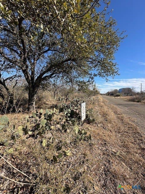 0.11 acres in Burnet County gallery image 4