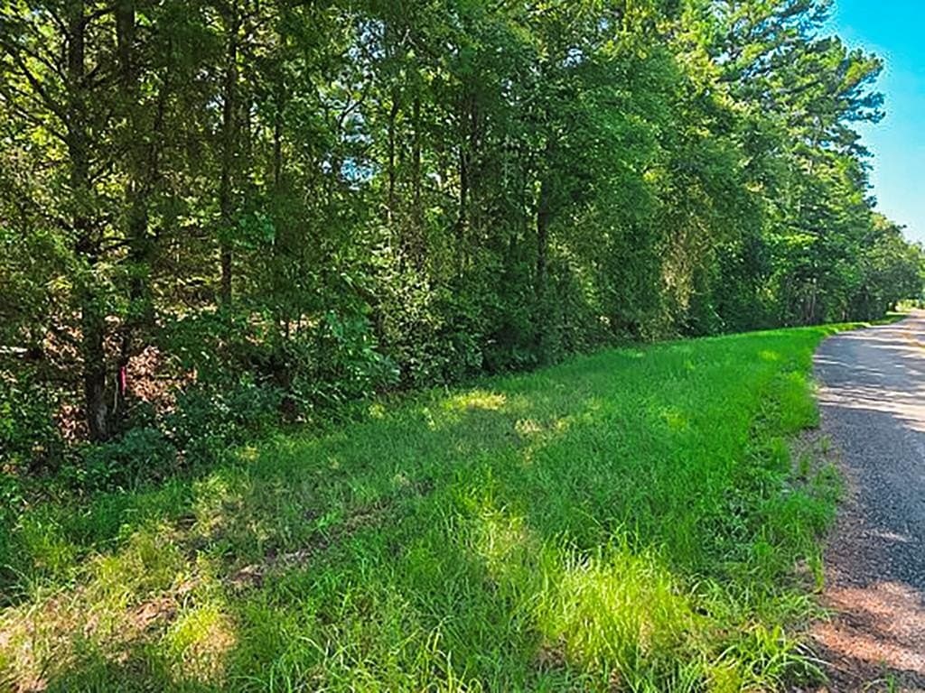 14.03 acres in ANDERSON County - photo 11