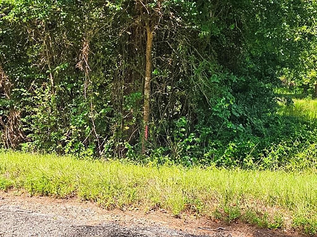 14.03 acres in ANDERSON County - photo 14