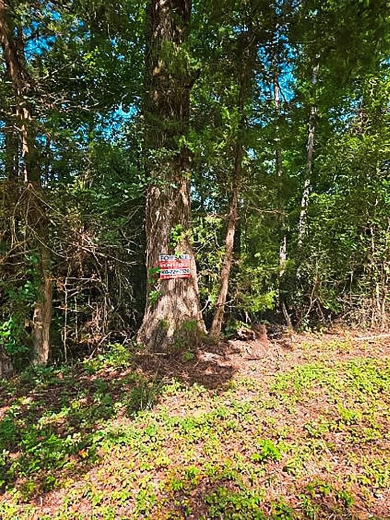 14.03 acres in ANDERSON County - photo 15