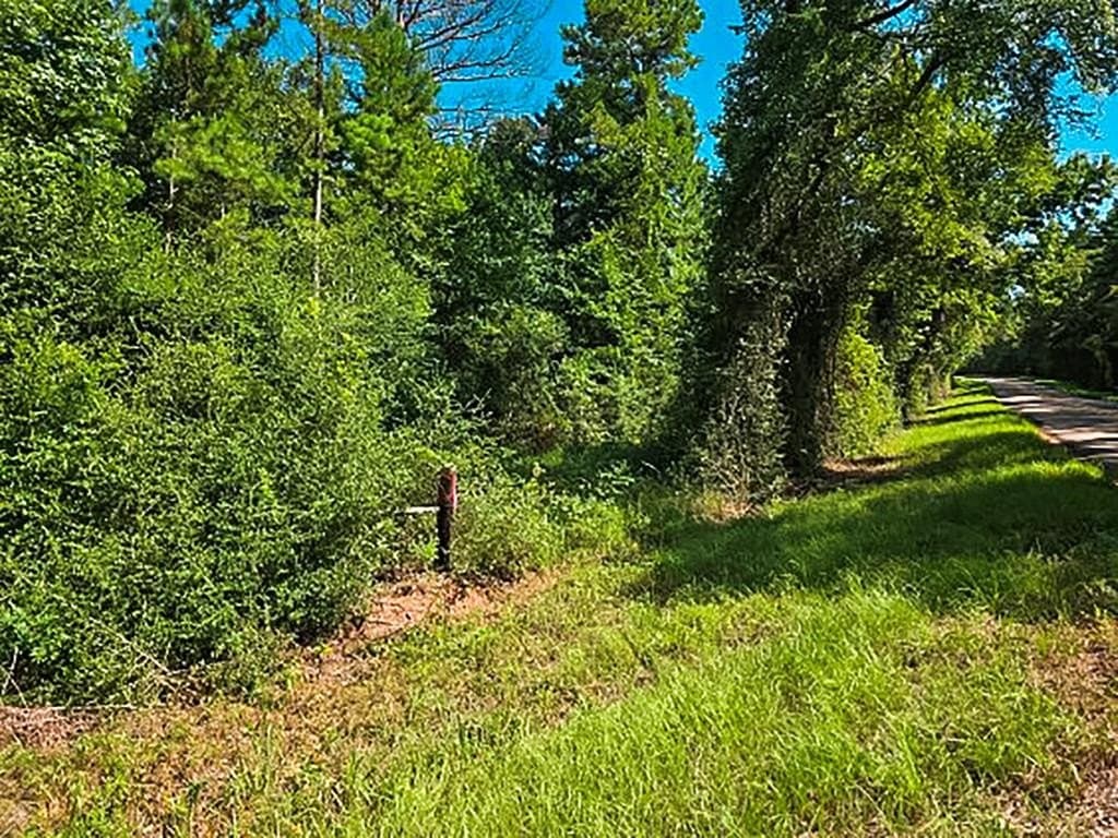 14.03 acres in ANDERSON County - photo 13