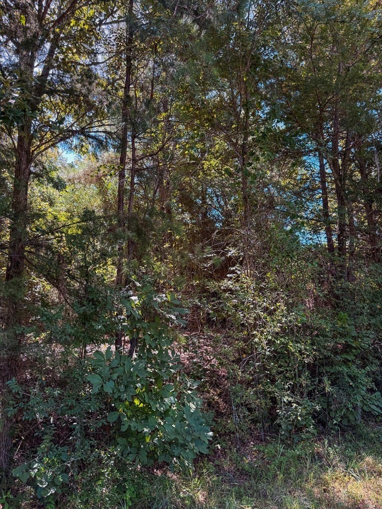 14.03 acres in ANDERSON County gallery image 4