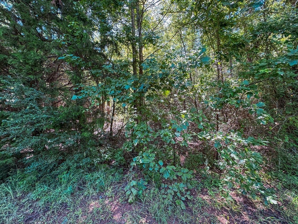 14.03 acres in ANDERSON County - photo 6