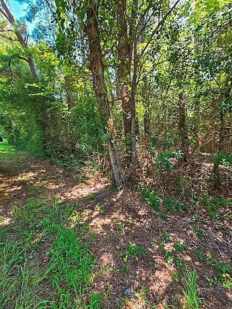 14.03 acres in ANDERSON County - photo 12