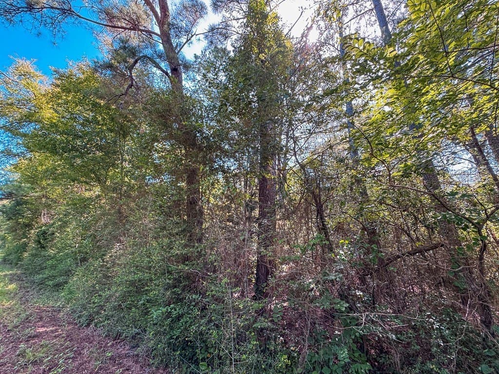 14.03 acres in ANDERSON County - photo 7