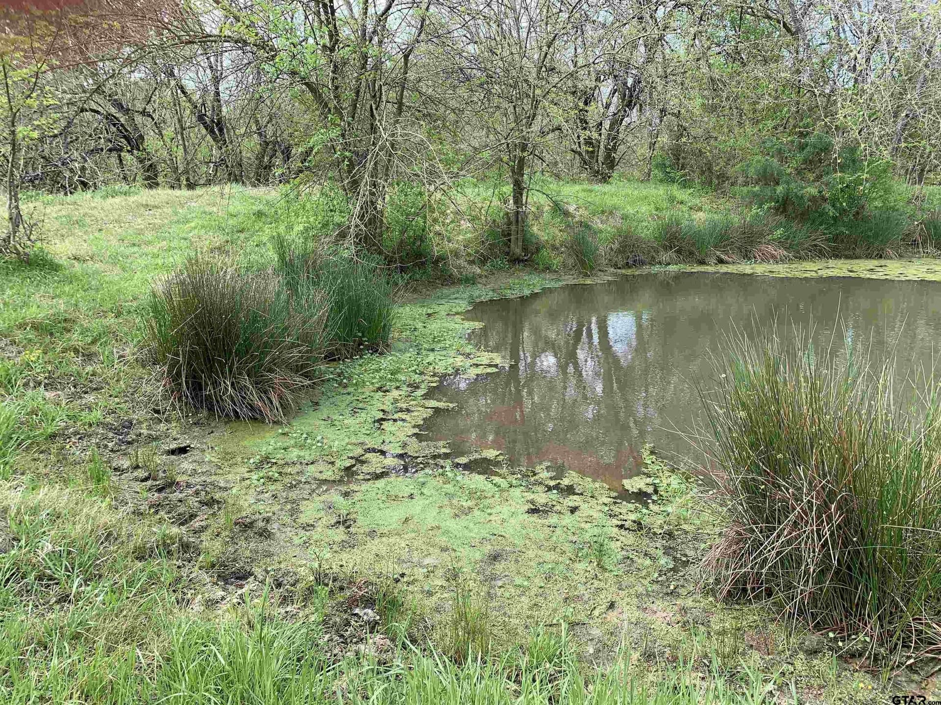5.83 acres in Hopkins County - photo 14