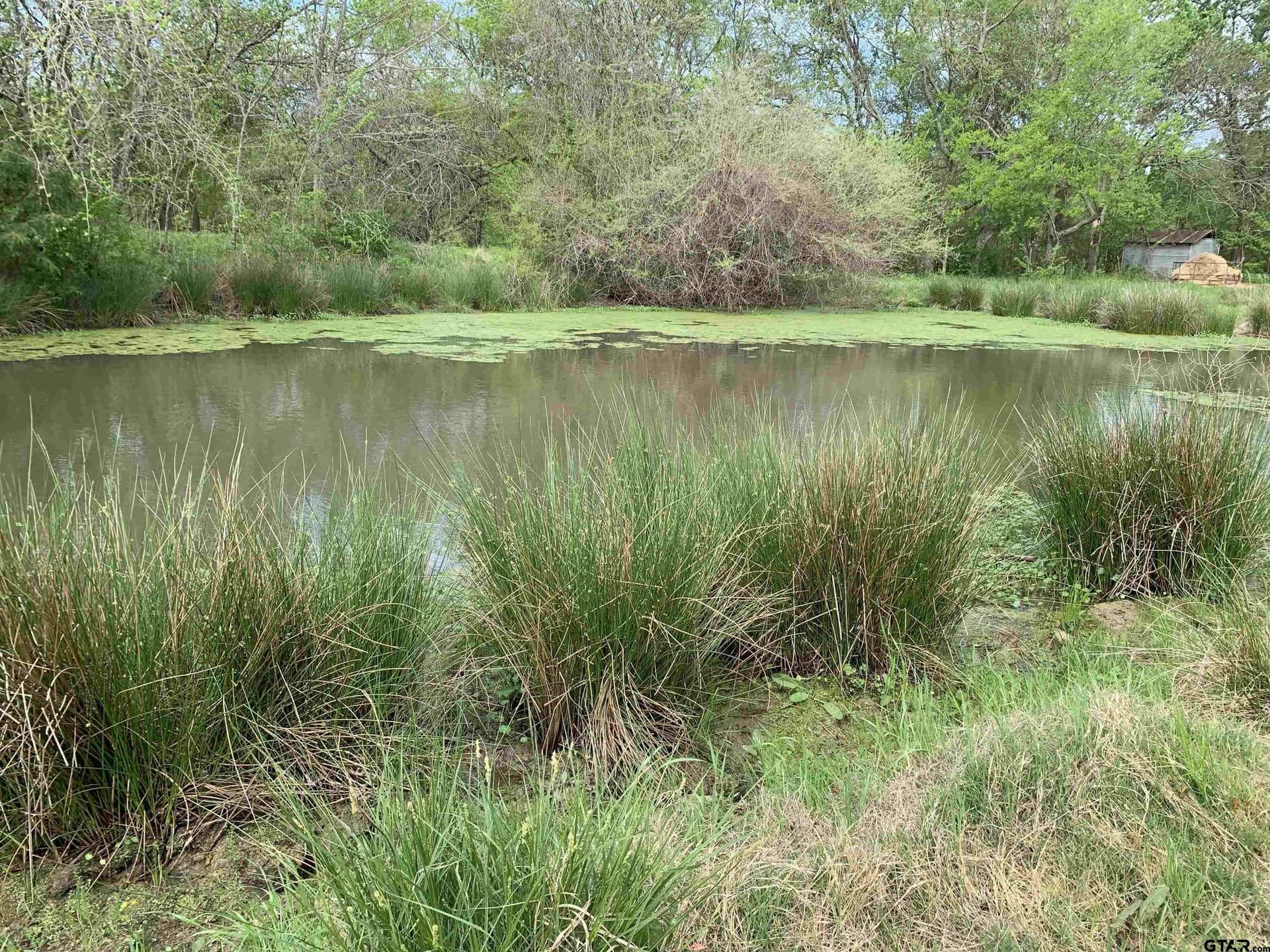 5.83 acres in Hopkins County - photo 13