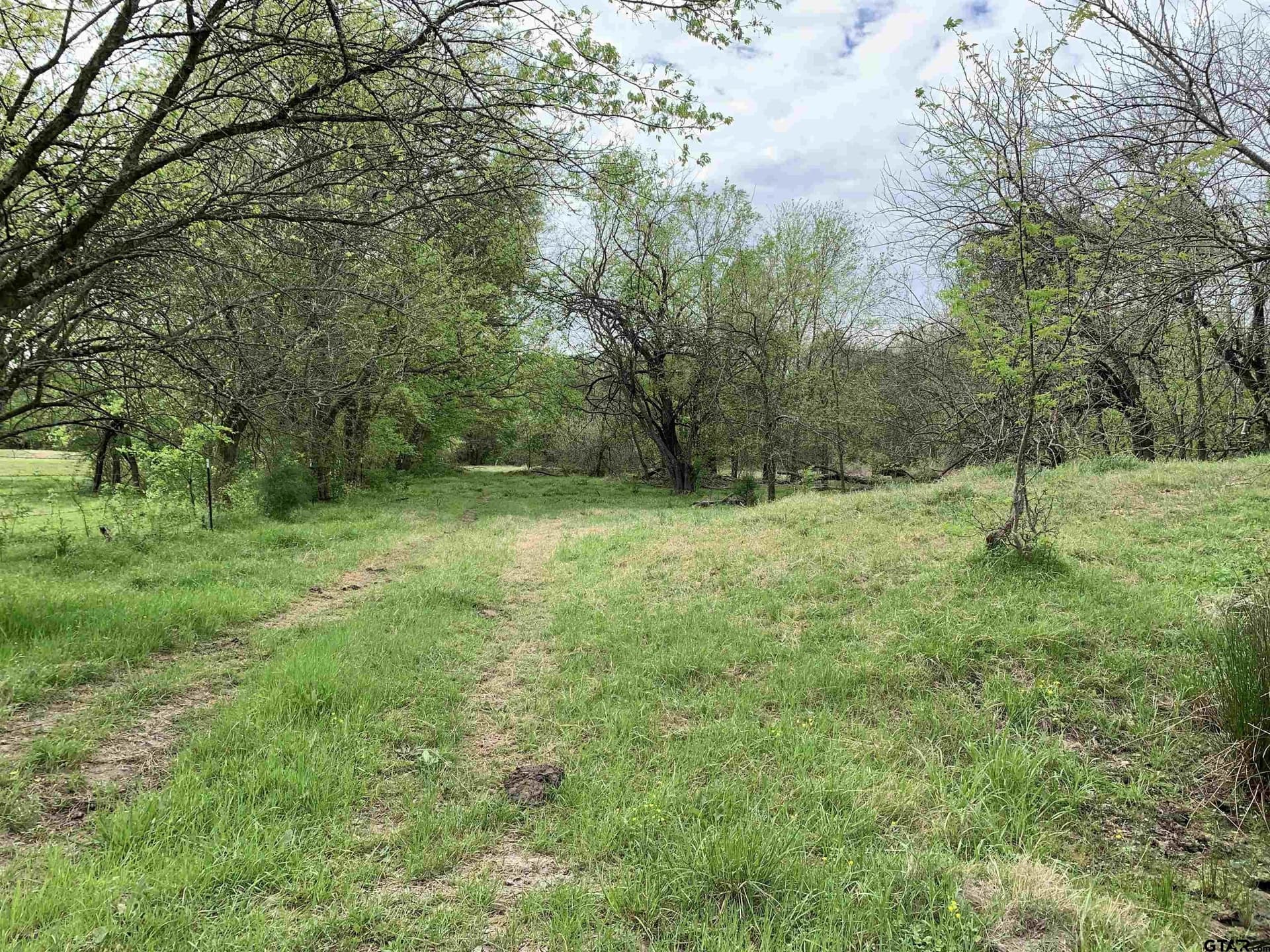 5.83 acres in Hopkins County - photo 17