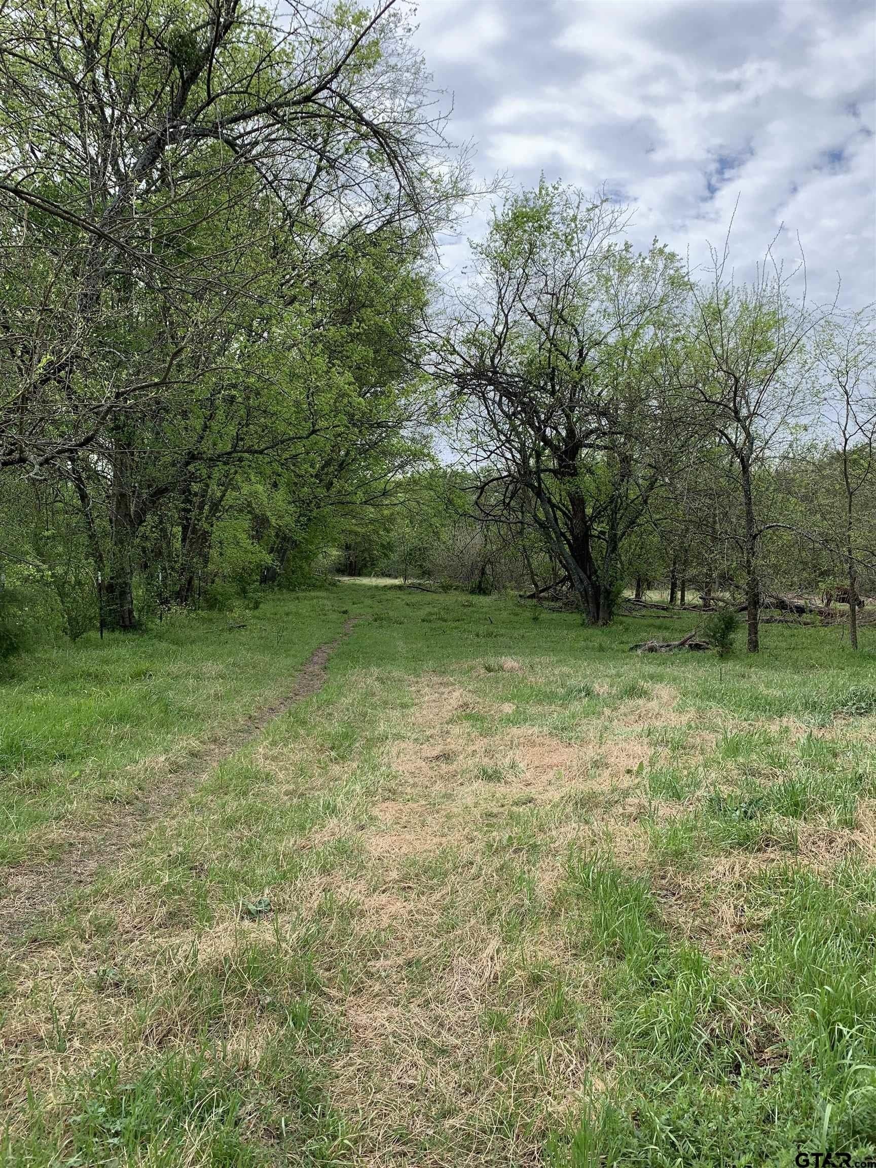5.83 acres in Hopkins County - photo 8