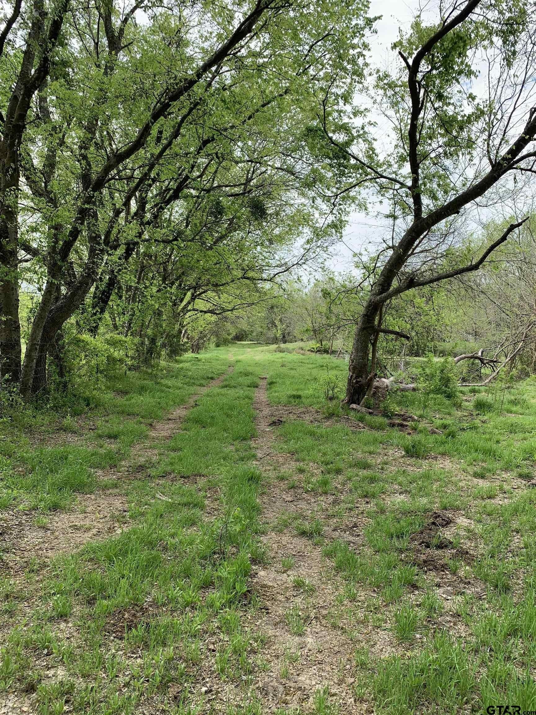 5.83 acres in Hopkins County - photo 10