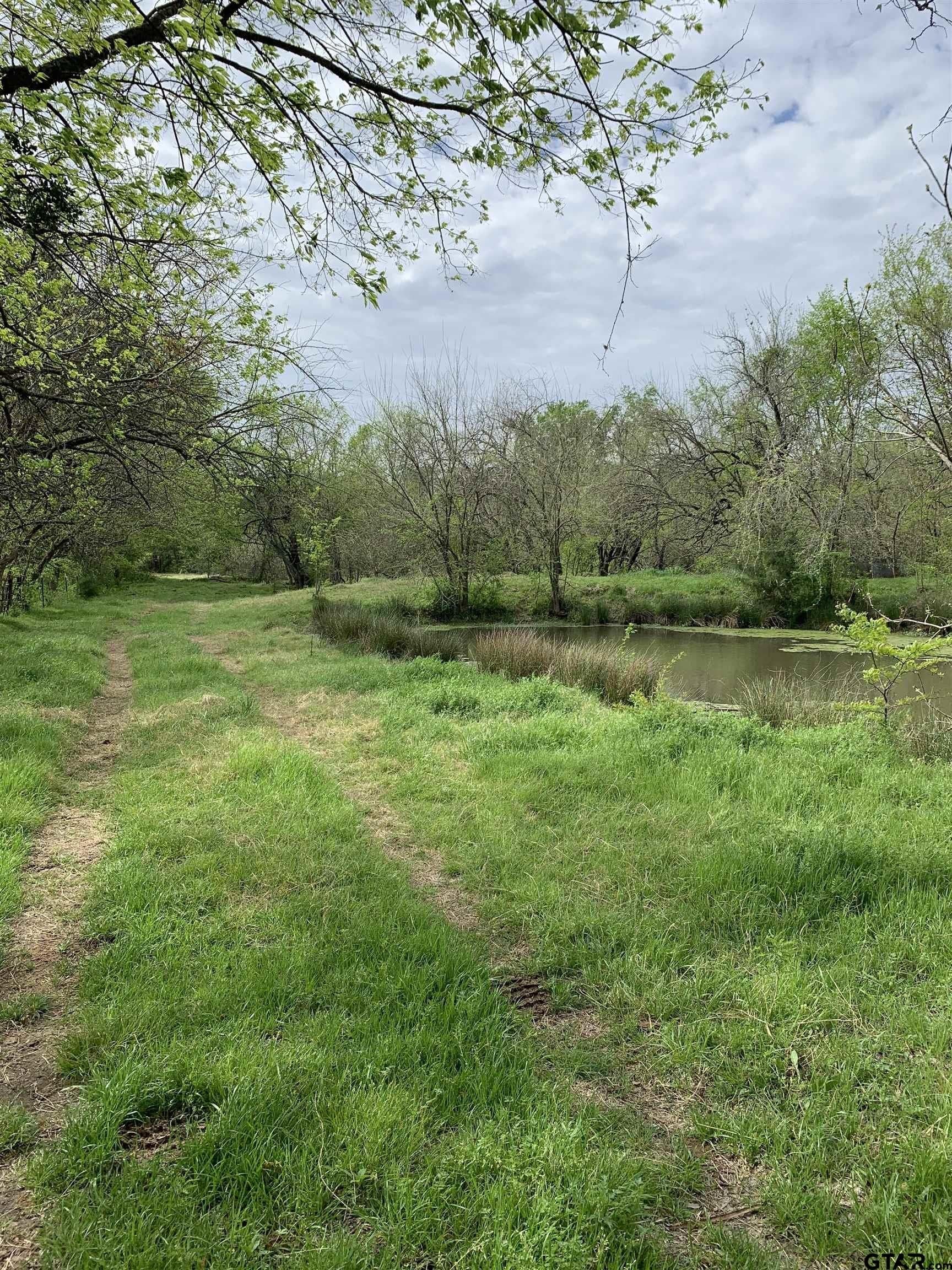 5.83 acres in Hopkins County - photo 12