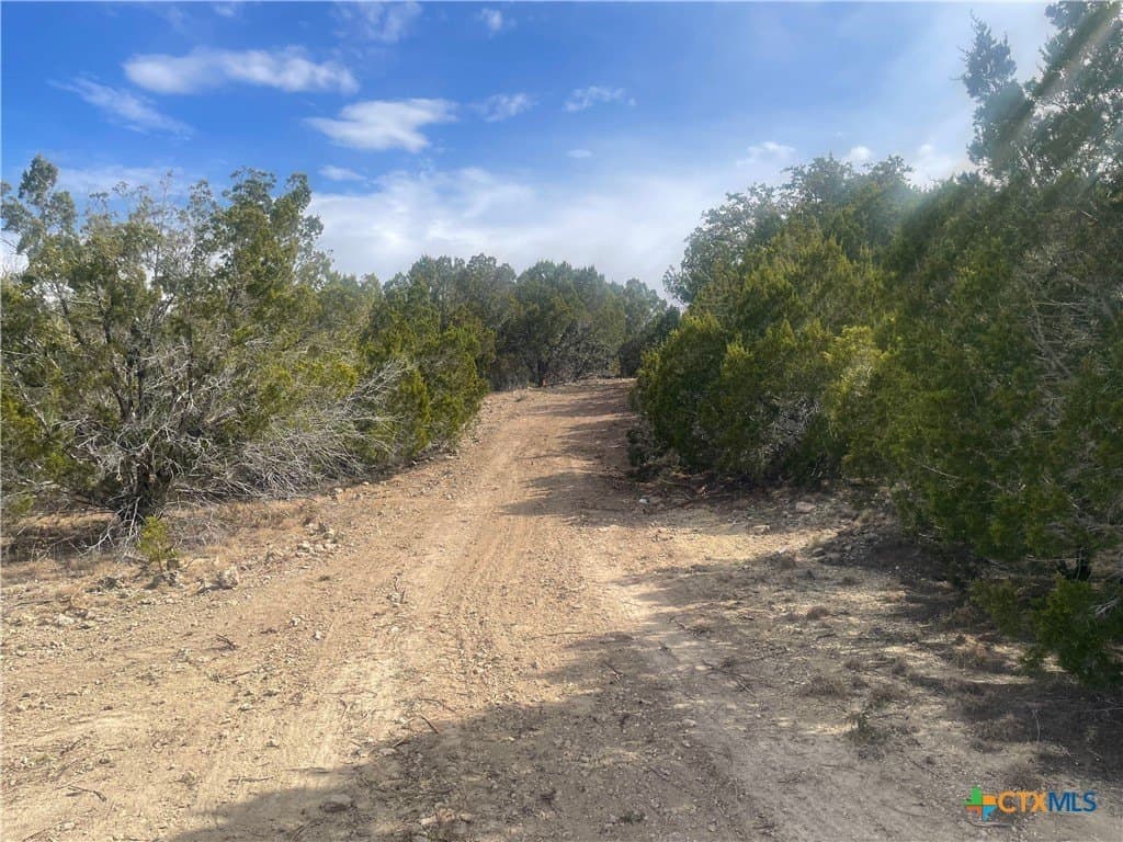 10.02 acres in Lampasas County gallery image 4