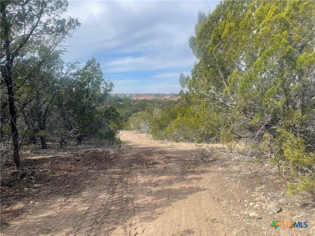 10.02 acres in Lampasas County gallery image 2