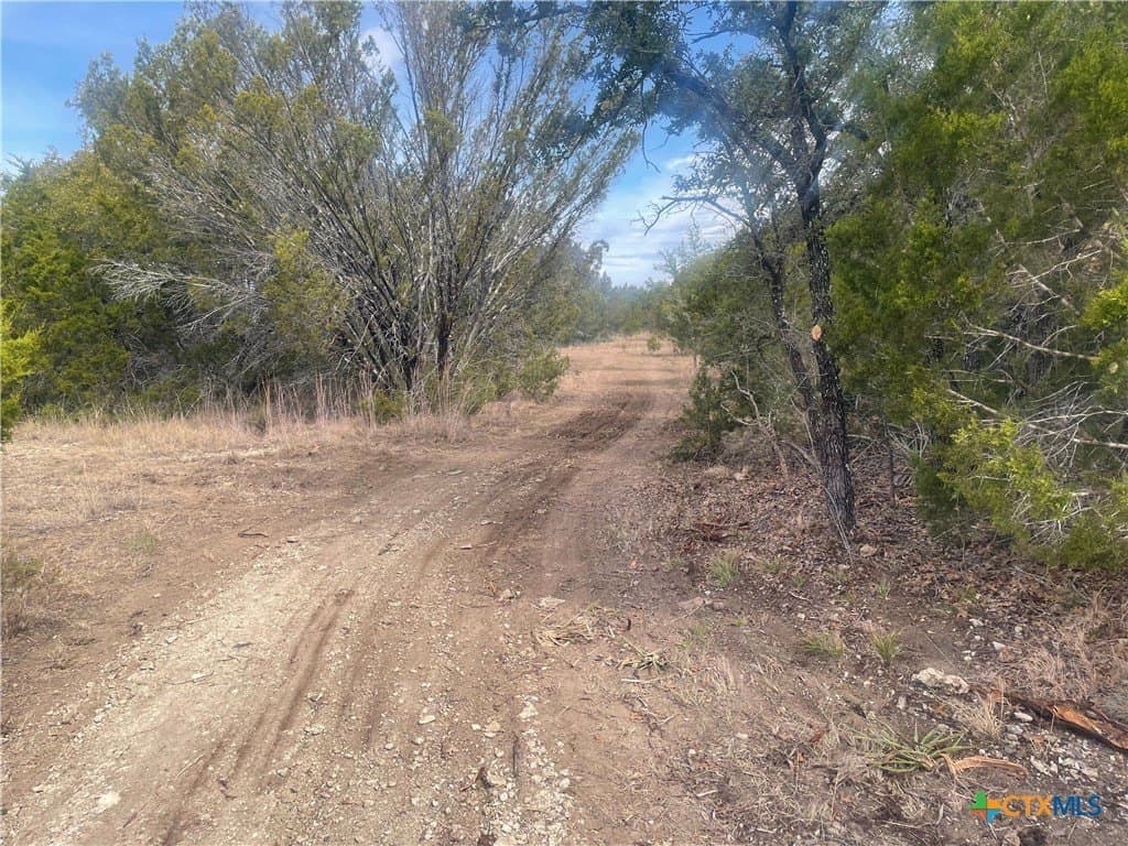 10.02 acres in Lampasas County gallery image 3