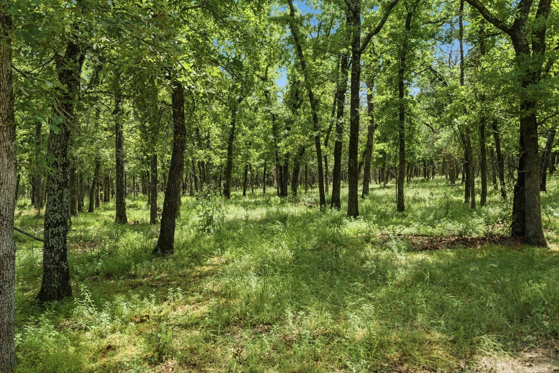 21.63 acres in Parker County - photo 40