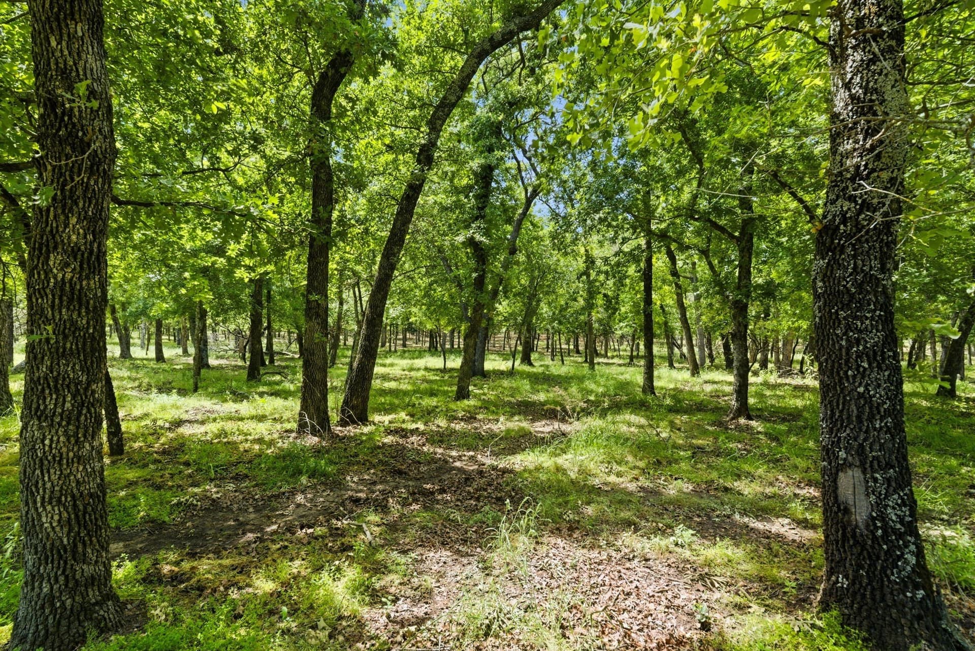 21.63 acres in Parker County - photo 39