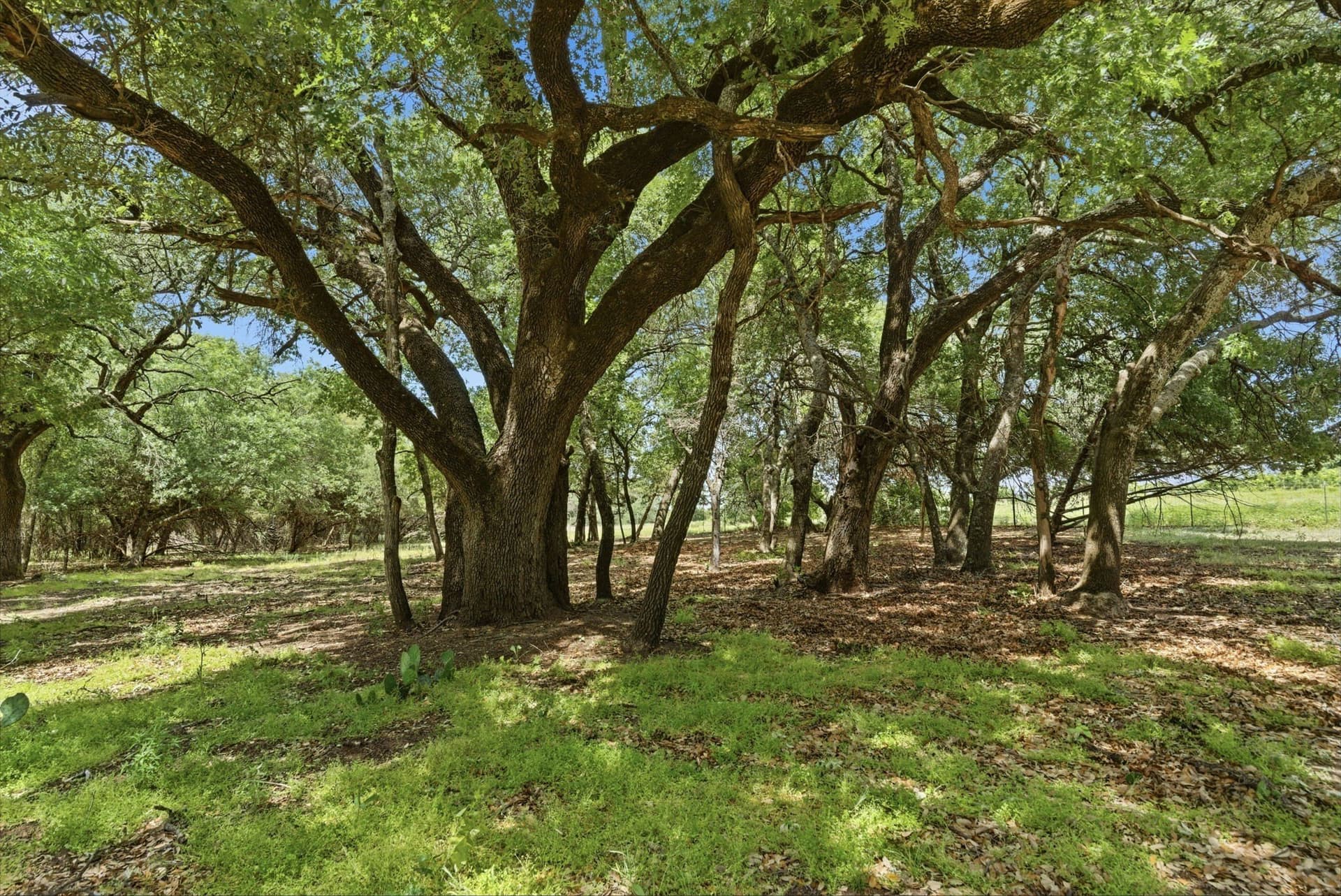21.63 acres in Parker County - photo 38