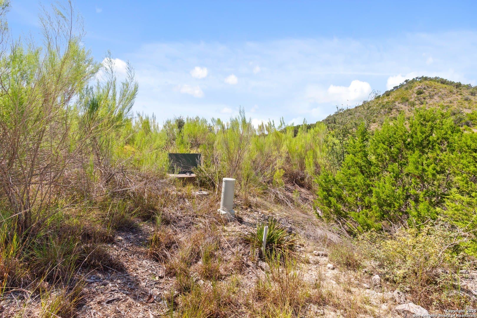1.51 acres in Comal County - photo 9