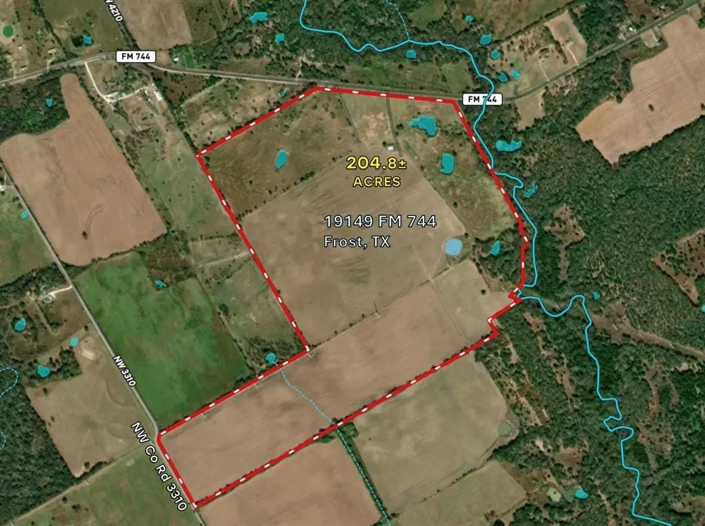 204.8 acres in Navarro County gallery image 2