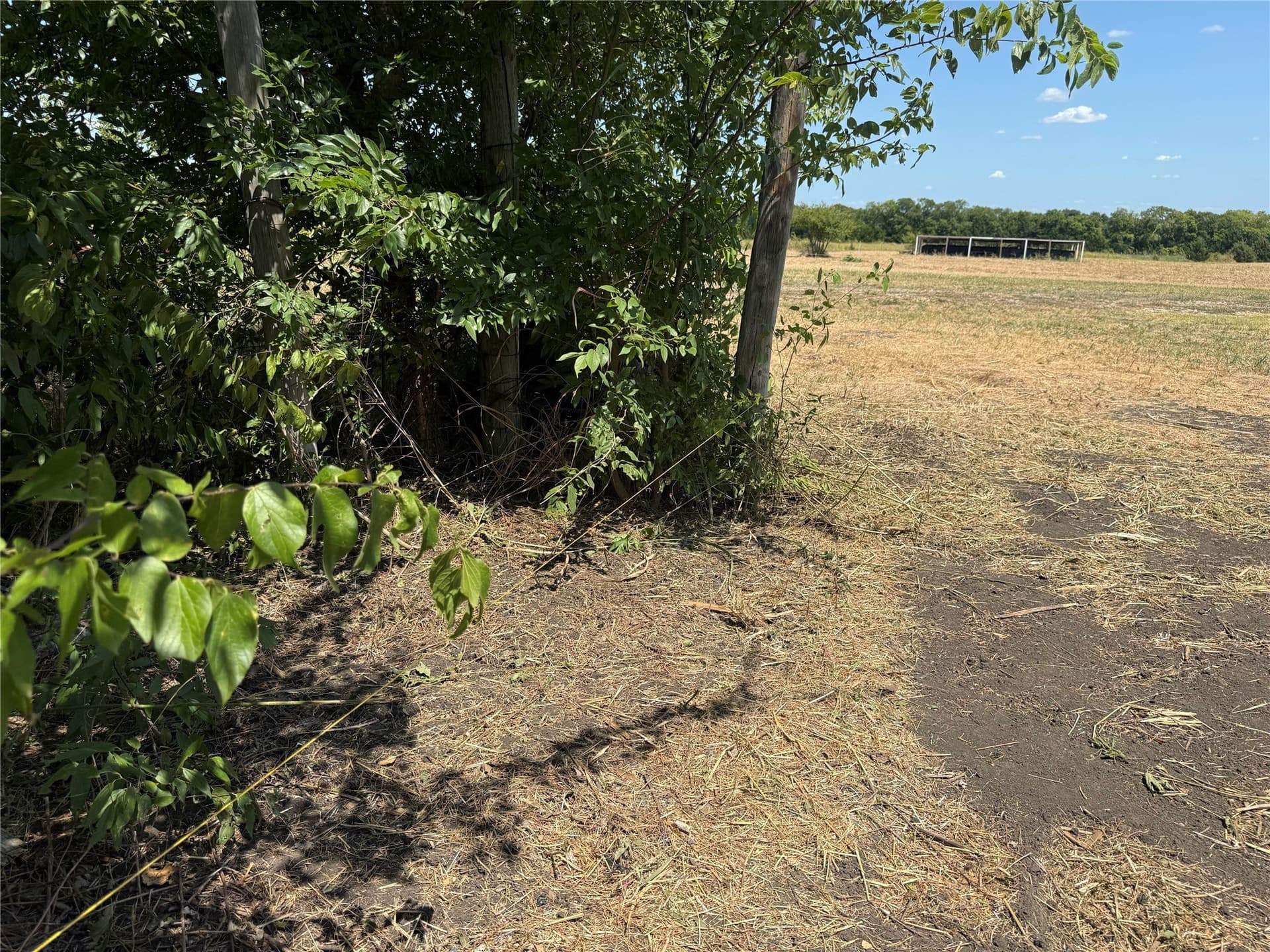 2.25 acres in Fannin County - photo 3