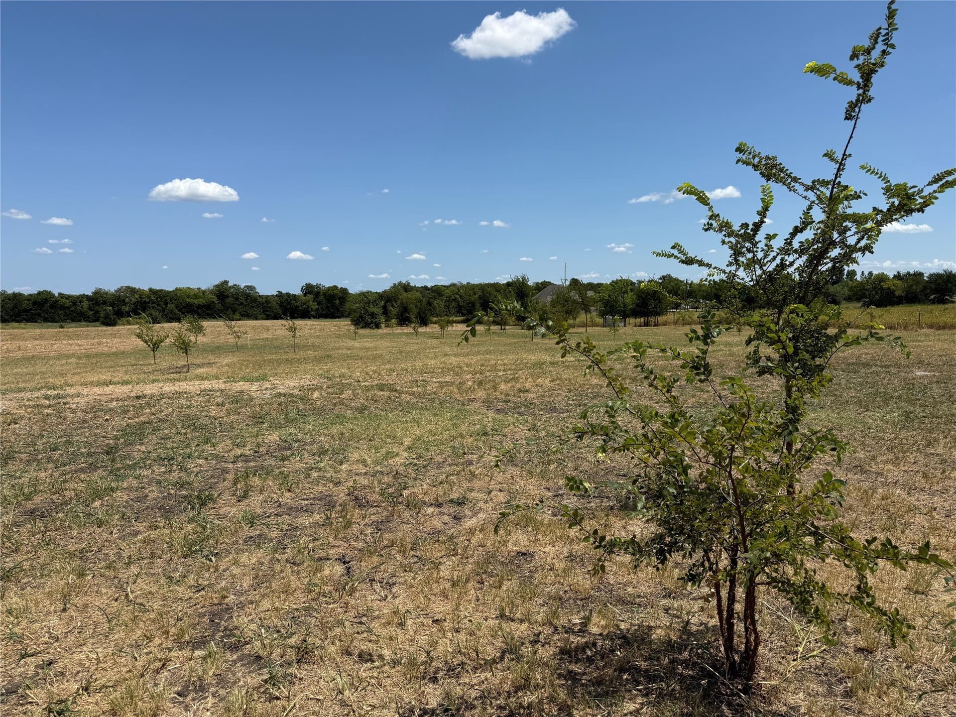 2.25 acres in Fannin County - photo 16