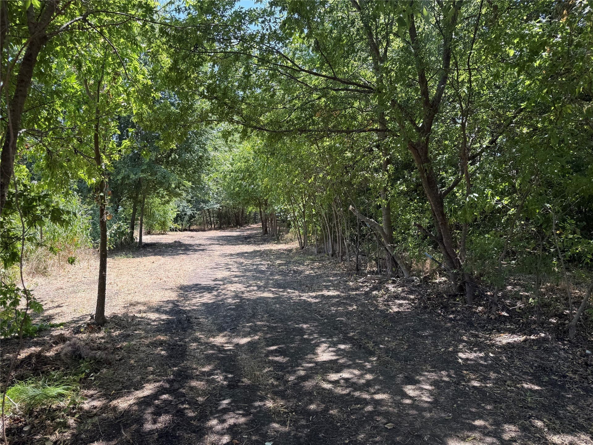 2.25 acres in Fannin County - photo 20