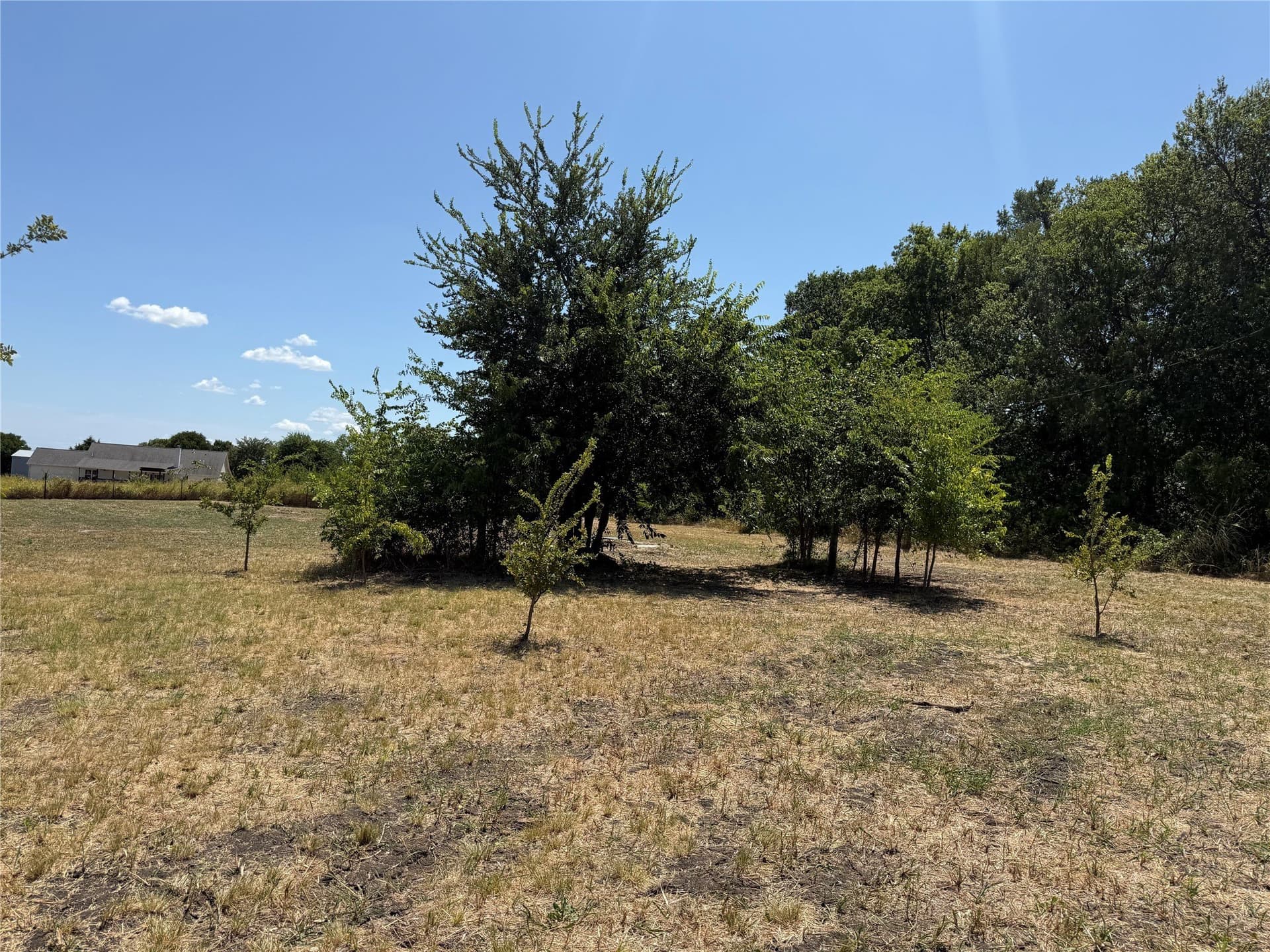 2.25 acres in Fannin County - photo 17