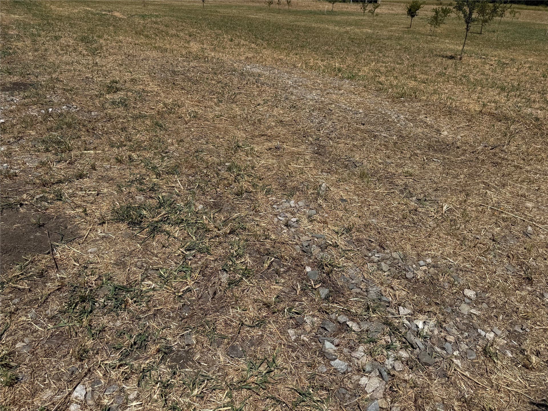 2.25 acres in Fannin County - photo 10
