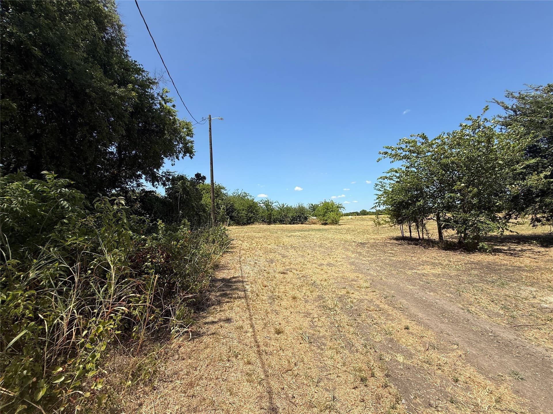2.25 acres in Fannin County - photo 6