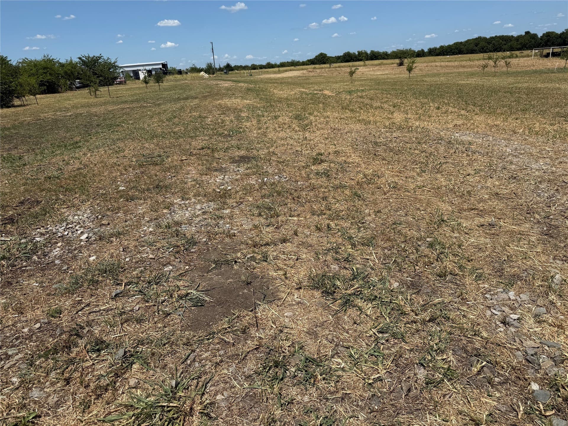 2.25 acres in Fannin County - photo 9