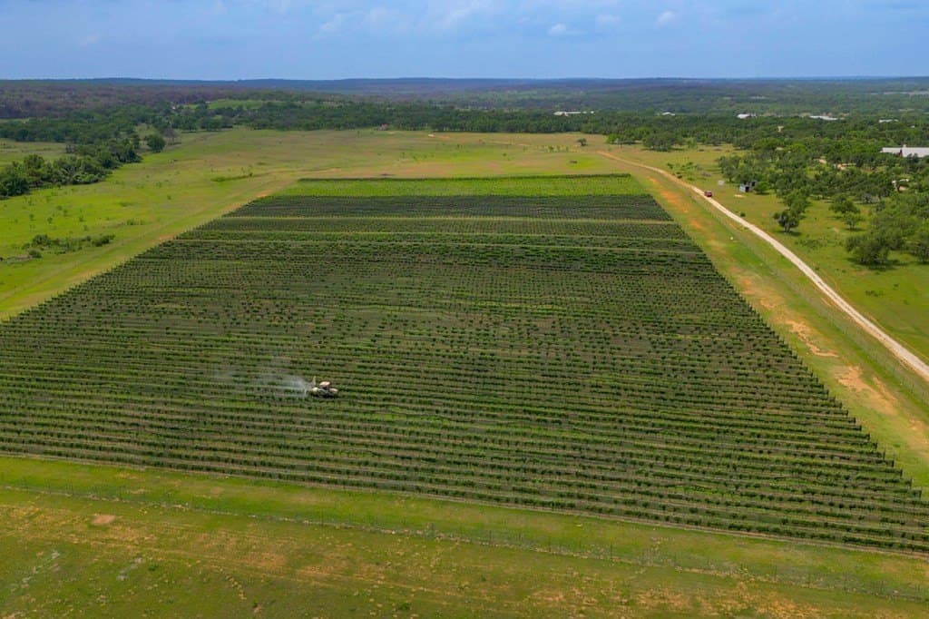 248.61 acres in Gillespie County - photo 13