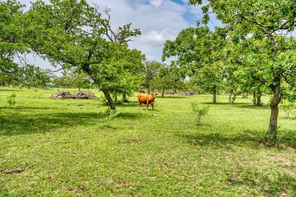 248.61 acres in Gillespie County - photo 11