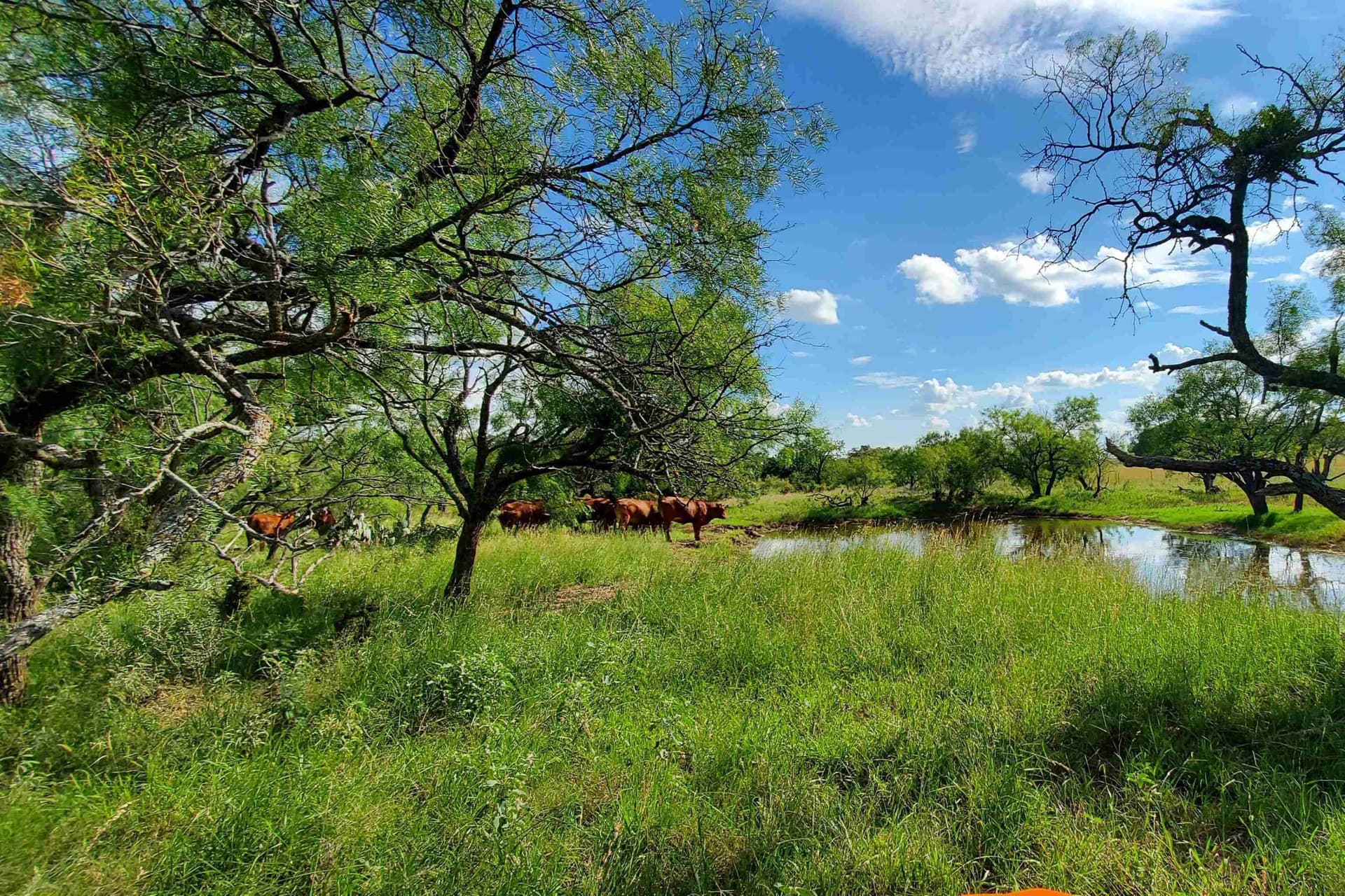 167.73 acres in Llano County - photo 10