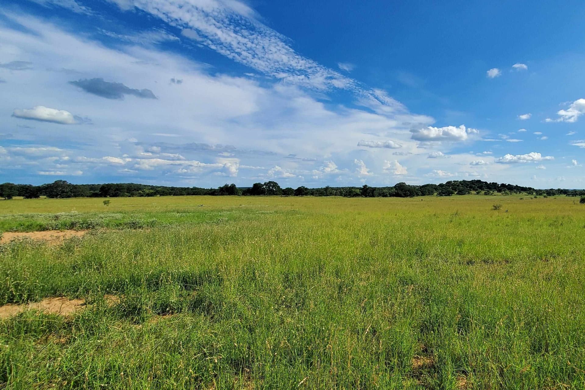 167.73 acres in Llano County - photo 8