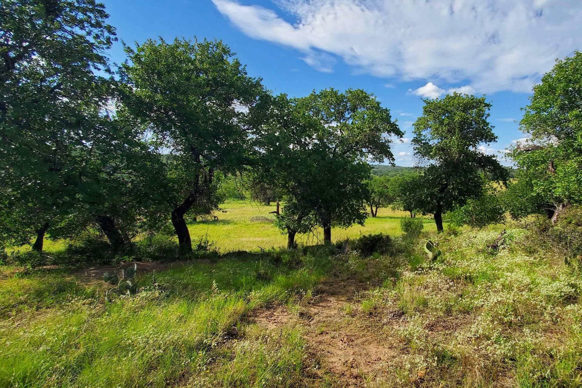 167.73 acres in Llano County gallery image 3