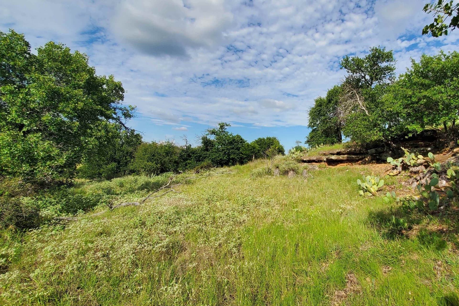 167.73 acres in Llano County gallery image 4