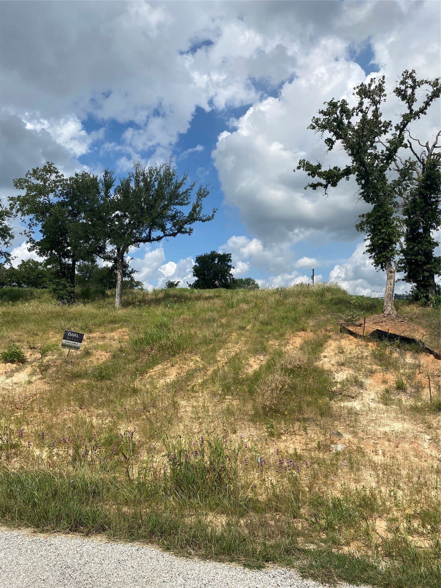 2 acres in Wise County gallery image 4