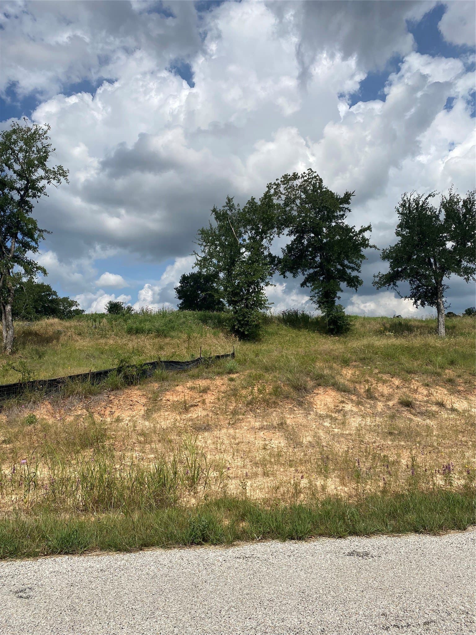 2 acres in Wise County gallery image 3